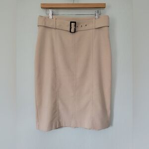 Ann Taylor Beige Pencil Skirt with Removable Belt
